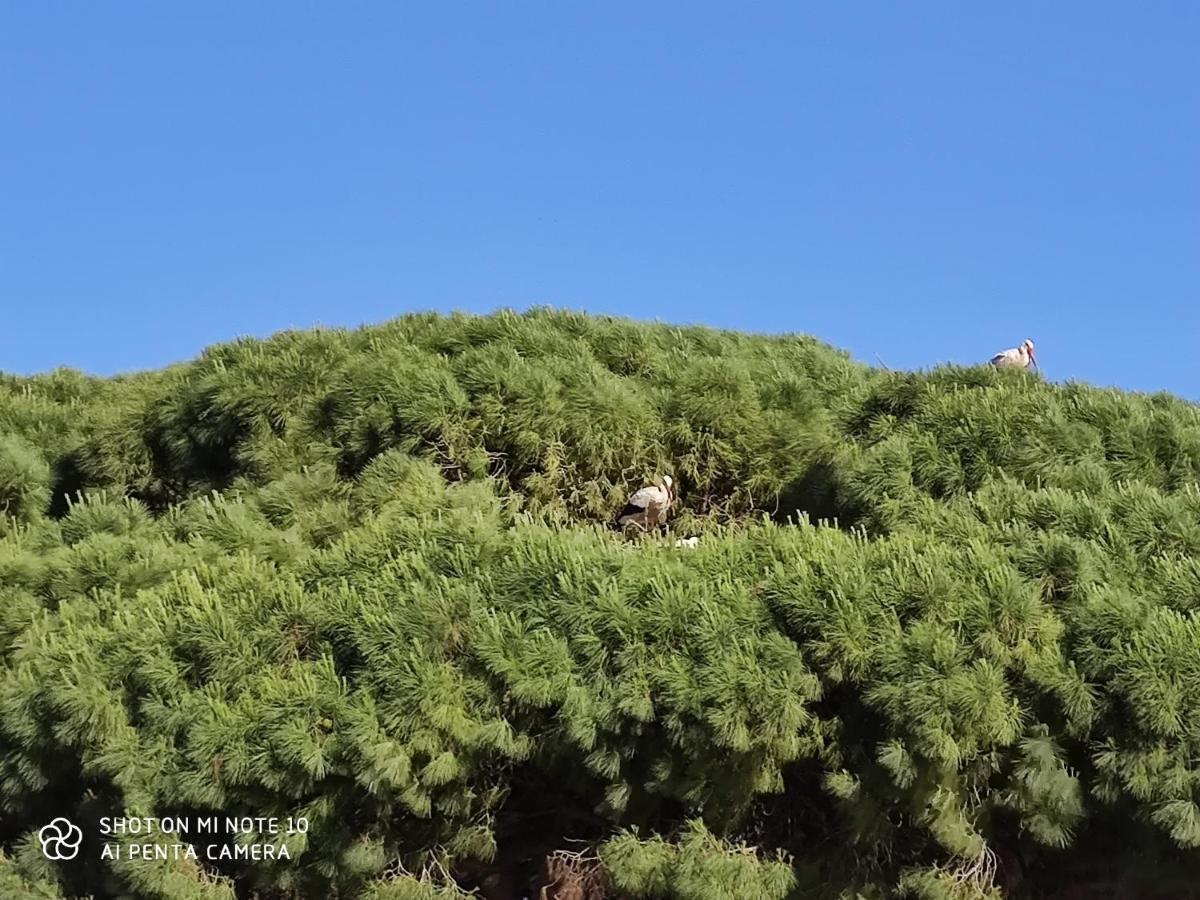 Pueblos Blancos *